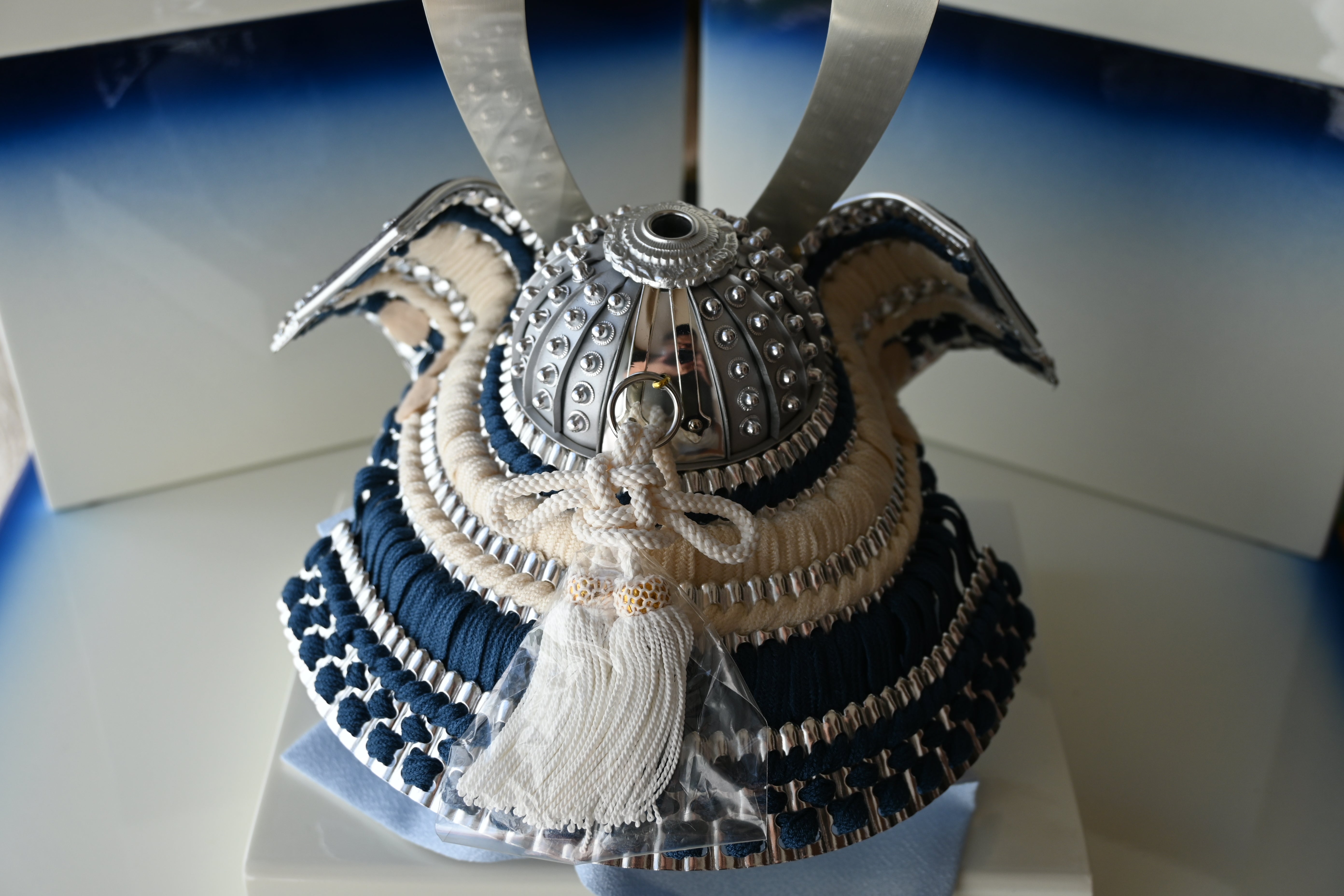 碧臣  -あおおみ-